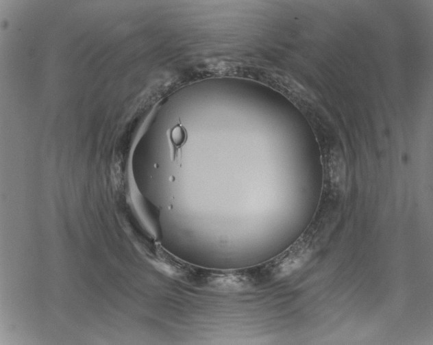 X0000068830611200605051238