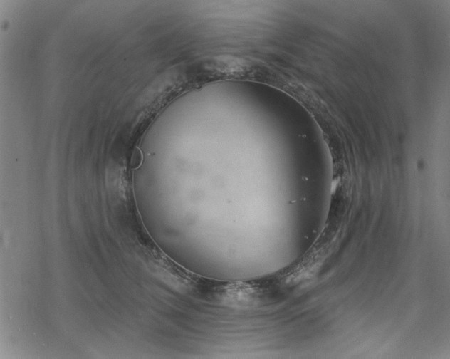 X0000068830612200605051238