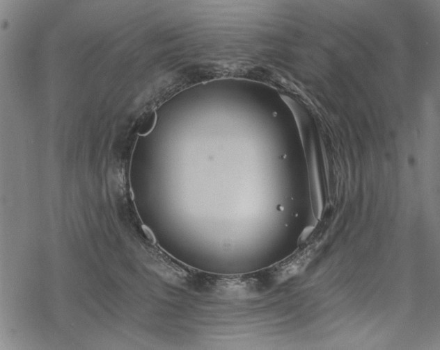 X0000068830613200605051238