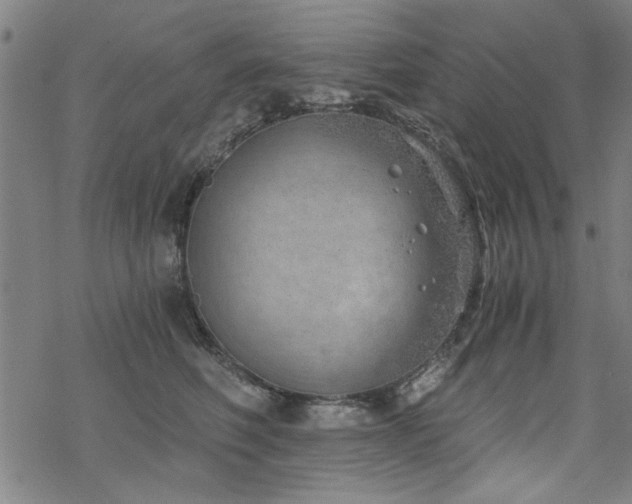 X0000068830614200605051238