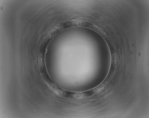 X0000068830615200605051238