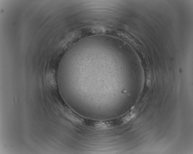 X0000068830616200605051238