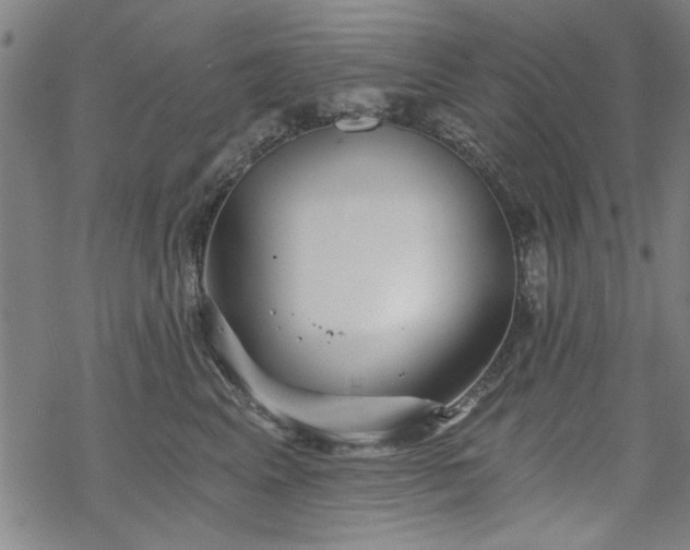 X0000068830617200605051238