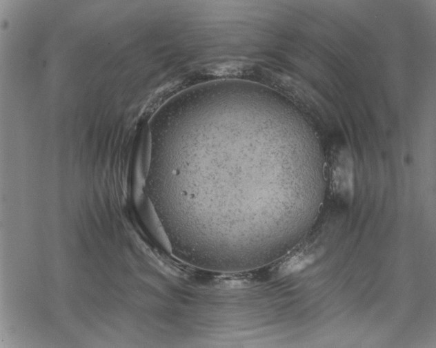 X0000068830620200605051238