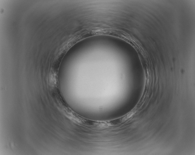 X0000068830621200605051238