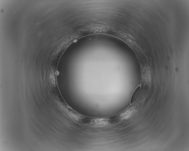 X0000068830622200605051238