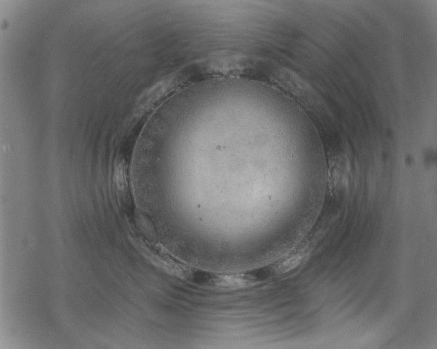 X0000068830623200605051238