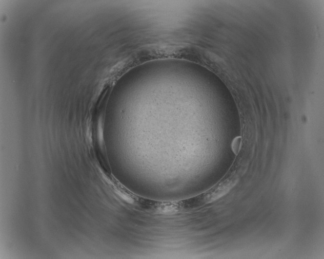 X0000068830624200605051238