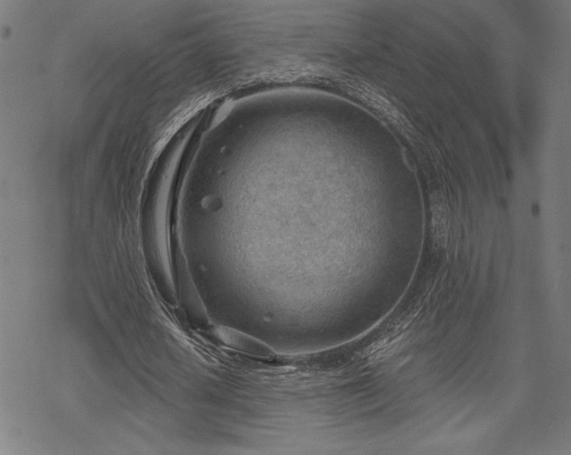 X0000068830626200605051237