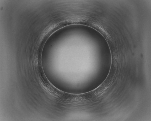 X0000068830631200605051237