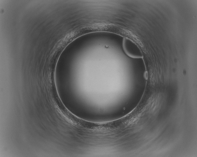 X0000068830633200605051237