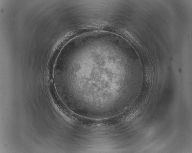 X0000068830634200605051237