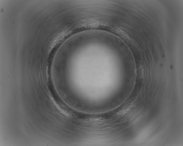 X0000068830638200605051237