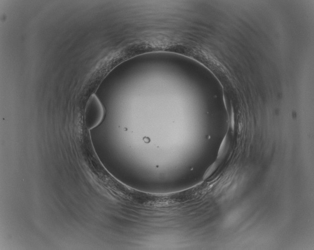 X0000068830639200605051237