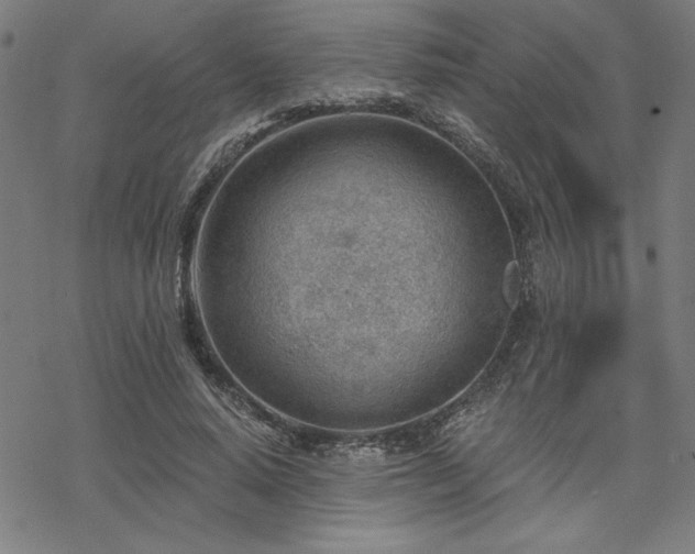 X0000068830640200605051237