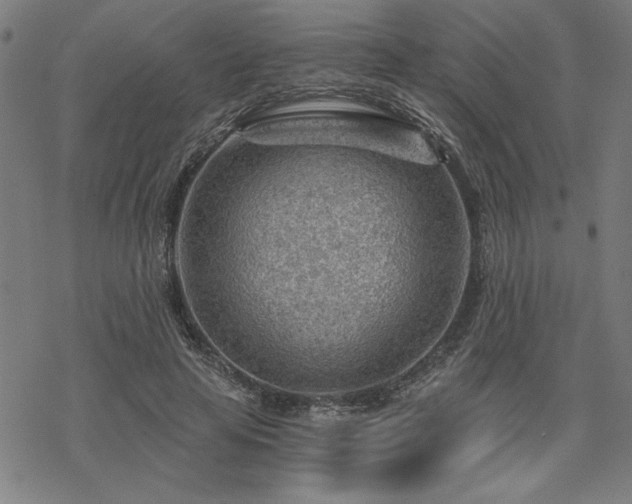 X0000068830641200605051237