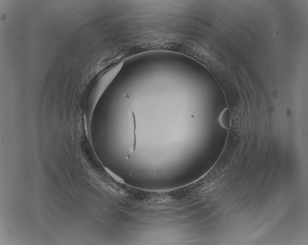 X0000068830642200605051237