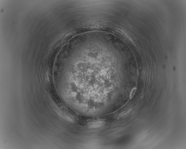 X0000068830643200605051237