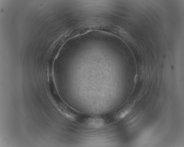 X0000068830644200605051237