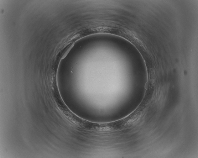 X0000068830645200605051237