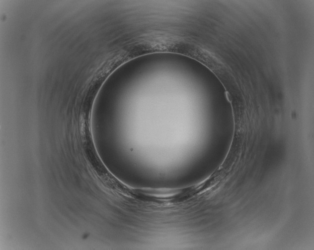 X0000068830646200605051237