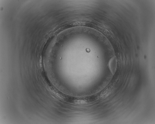 X0000068830649200605051237