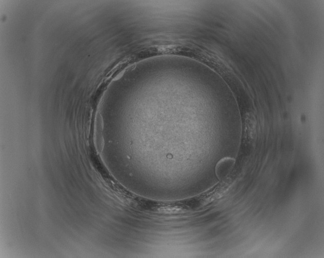 X0000068830650200605051237