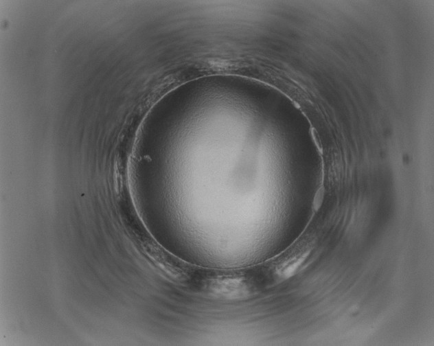 X0000068830651200605051237