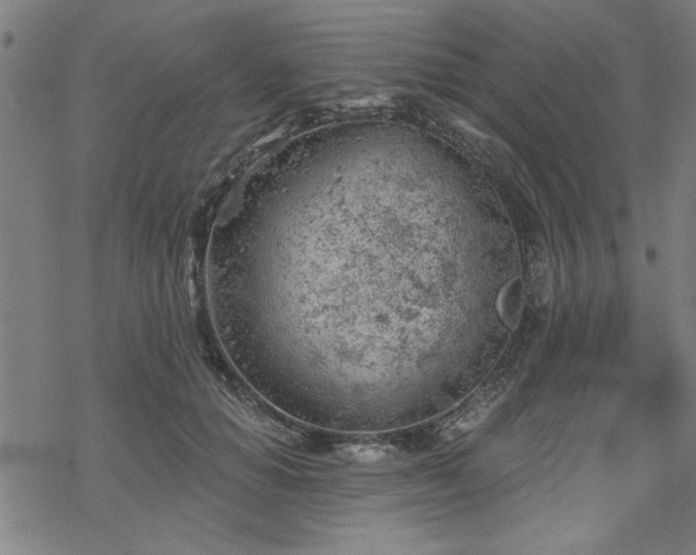 X0000068830654200605051237