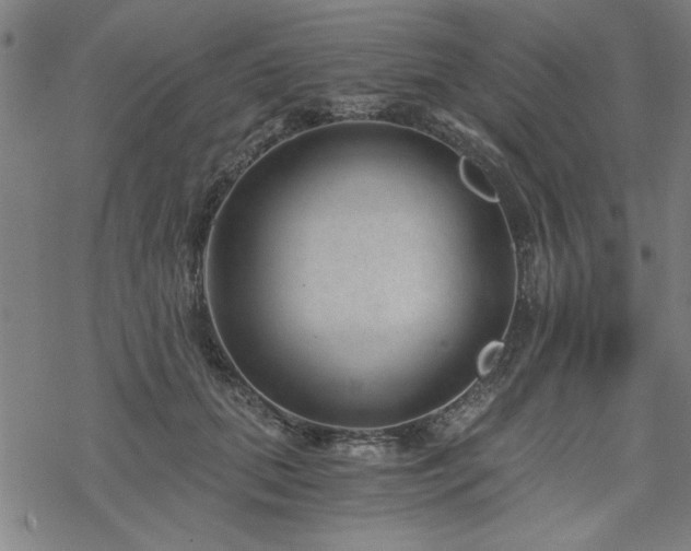 X0000068830655200605051237