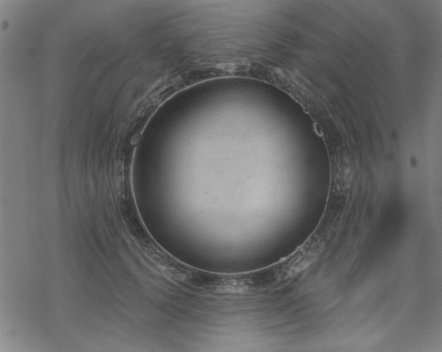 X0000068830656200605051237