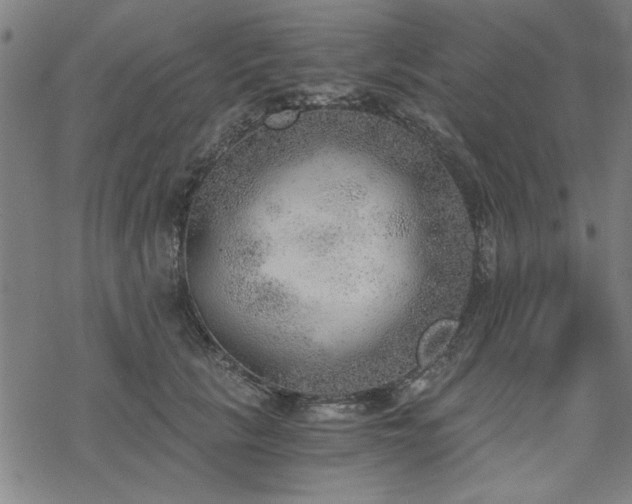 X0000068830657200605051237