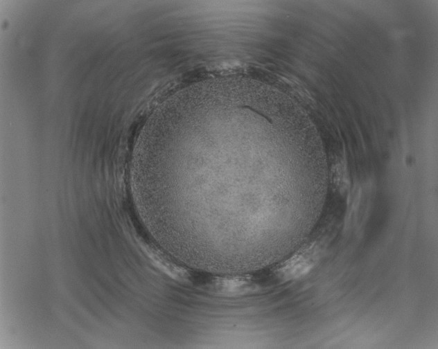 X0000068830662200605051237