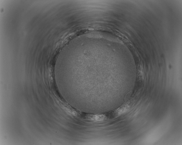 X0000068830663200605051238