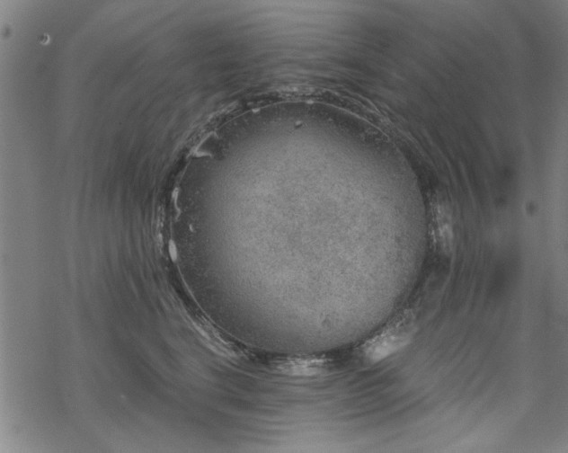 X0000068830664200605051238