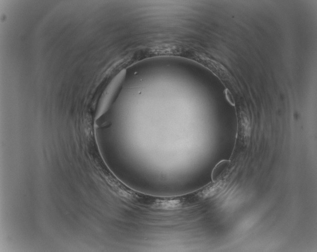 X0000068830665200605051238