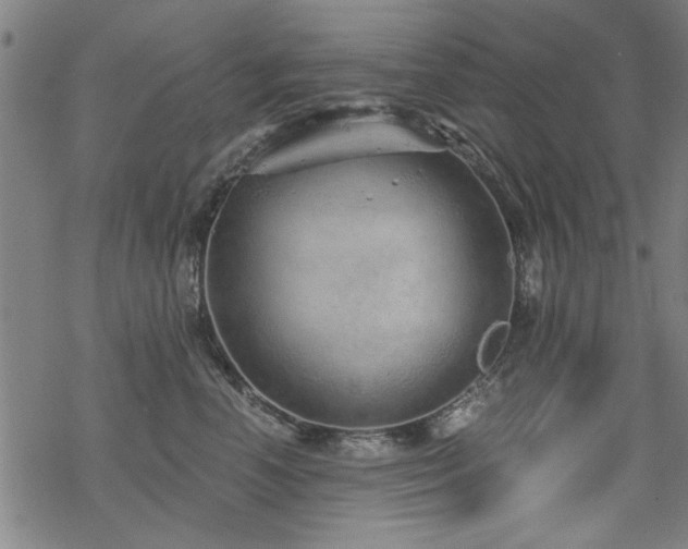 X0000068830666200605051238