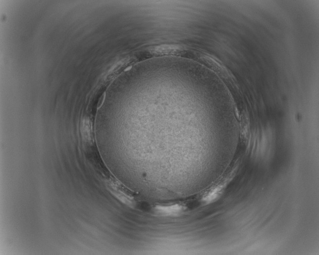 X0000068830669200605051238