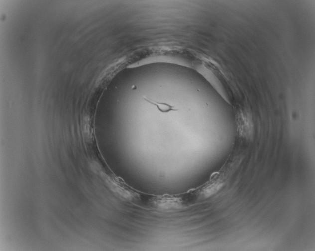 X0000068830670200605051238