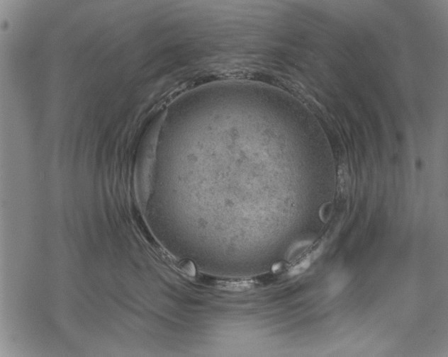 X0000068830671200605051238