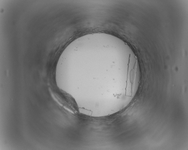 X0000068830672200605051238