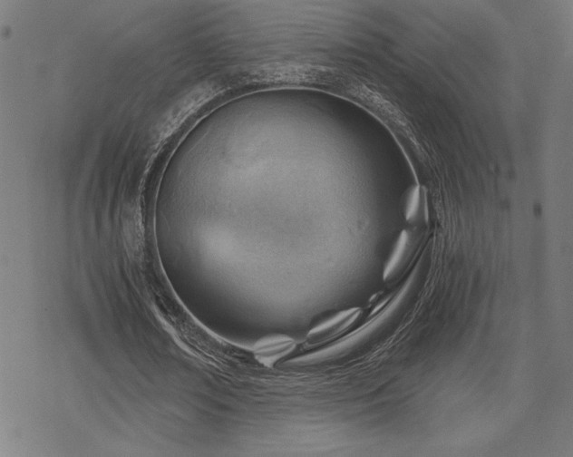 X0000068830674200605051237