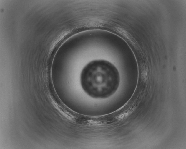 X0000068830677200605051237