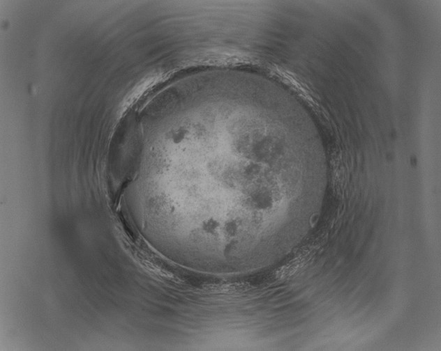 X0000068830679200605051237