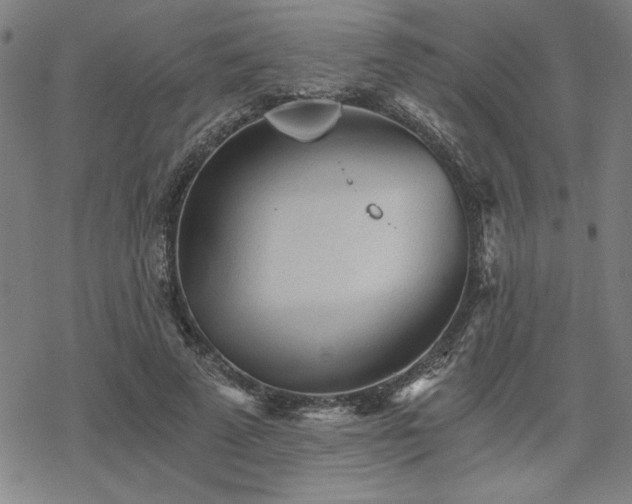 X0000068830689200605051237