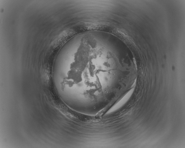 X0000068830691200605051237