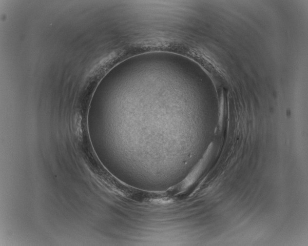 X0000068830692200605051237