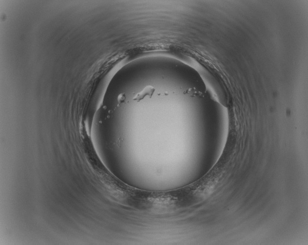 X0000068830693200605051237