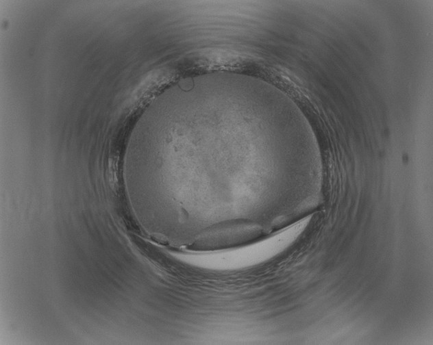 X0000068830695200605051237