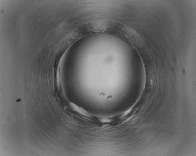 X0000068830697200605051236